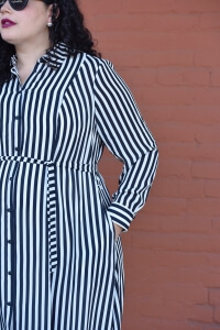 Girl With Curves Collection Miranda Stripe plus size shirt dress